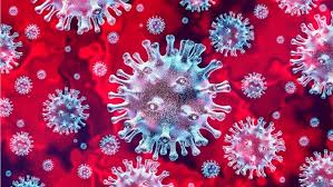 Coronavirus Updates from Simpex Export Import Distribution Pvt. Ltd. Nepal